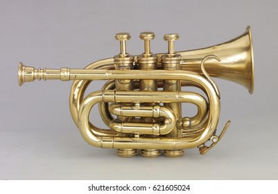 Brass Instrument, Trumpet