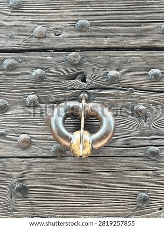 A brass knocker on a door