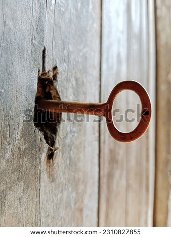 the brass lock in the wooden door leaf is broken

