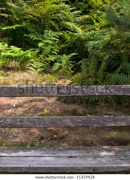 Brass Plaque On Wooden Bench Stock Photo Edit Now 15359428