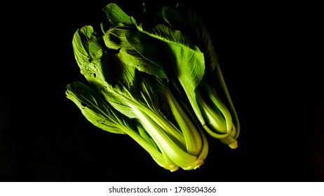 Brassica Rapa Subsp. Chinensis Isolated On A Black Background