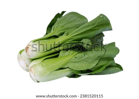 Brassica rapa subsp. chinensis known as Bok Choy, Pak Choi or Pok Choi. is a type of Chinese cabbage, used as food.