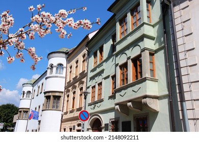 Bratislava City Street In Slovakia. Spring Time Cherry Blossoms.