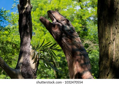 Bratislava / Slovakia - June 11, 2017: Dinopark In Bratislava Zoo; Giant Sauropod Head Close-up 