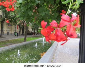 Bratislava / Slovakia - October 7, 2015: People Walk Along Hviezdoslavovo Namestie. Hviezdoslav Square Is Located In The Old Town.