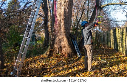 Braunschweig, Germany, November 17, 2018: The Helper Of A Professional Tree Climber Takes The Drone On The Ground, Slowly Lowered On A Rope.