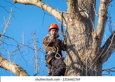 Braunschweig, Germany, November 17, 2018: Professional Tree Climber Rescues A Phantom Drone From The Top Of A Tree And Slowly Lets It Down On A Rope From A Great Height.