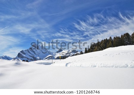 Similar – Foto Bild Predigtstuhl Natur