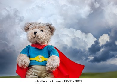 Brave bear fight