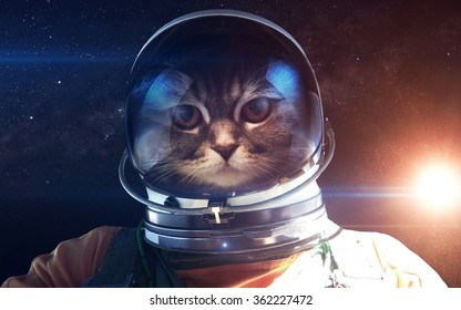 4,342 Cat astronaut Images, Stock Photos & Vectors | Shutterstock