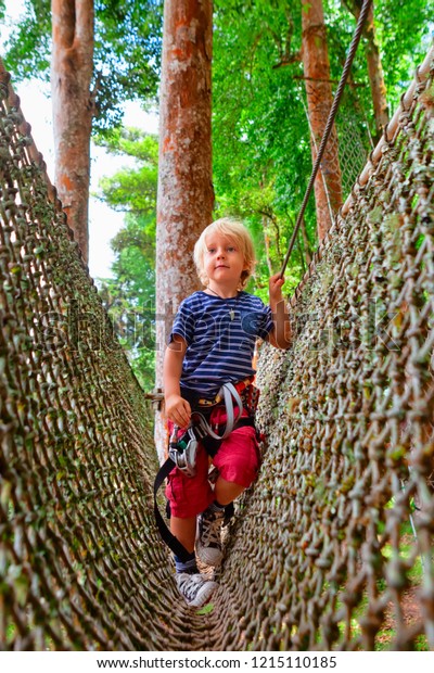 Brave little child in safety harness climb on tree\
tops route, pass hanging net bridge obstacle in adventure rope\
park. Outdoor activity,  family lifestyle in summer scout camp on\
vacation with kid