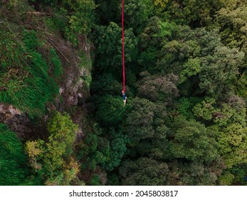 Brave Sportswoman Jumps On A Bungee Jump With A Forest In The Background