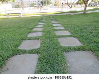 Brazil Bahia Green Grass With Concrete Block Seen From The Park