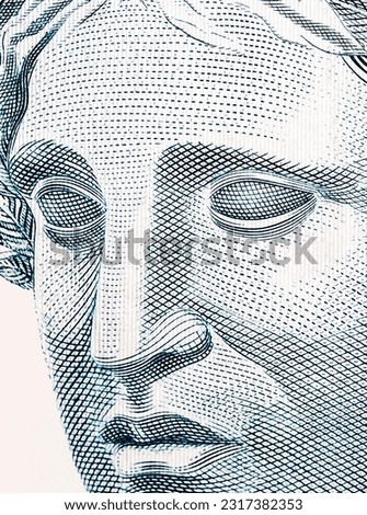 Brazil money bills, brazilian real, banknote detail, banknote woman isolated. Economy concept.