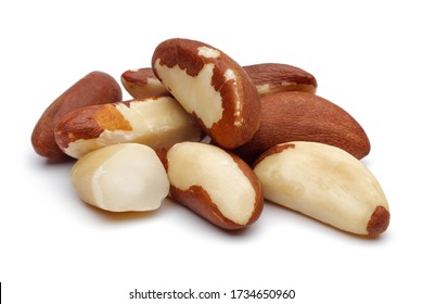 Brazil Nut Isolated On White Background