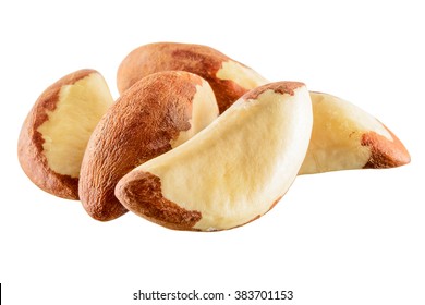 Brazil Nut Isolated On White Background.