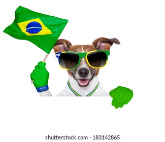 brazil soccer dog  with brazil waving flag
