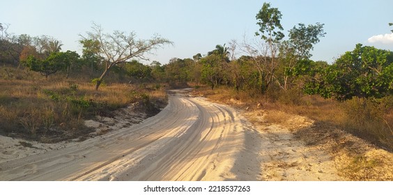 Brazilian Cerrado Biome In Maranhão 