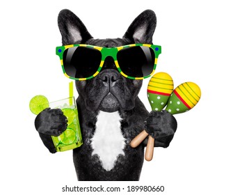 brazilian french bulldog with cocktail and shakers