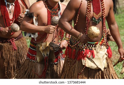 Brazilian Indians of the Pataxó ethnic group during their daily activities of dance, hunting and fishing - Shutterstock ID 1373681444