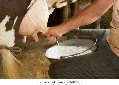 Brazilian manual expression of milk