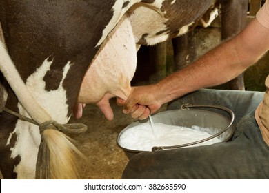 Brazilian manual expression of milk