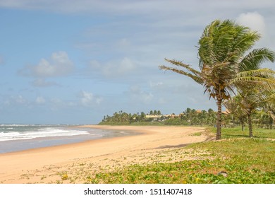 Brazilian Tropical Beach, At Bahia, With White Sand, Coconut Trees And Three Unrecognizable People Walking Away On The Distance