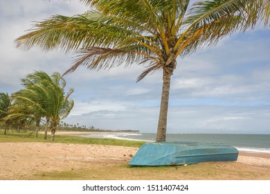 Brazilian Tropical Beach, At Bahia, With White Sand, Coconut Trees And Three Unrecognizable People Walking Away On The Distance