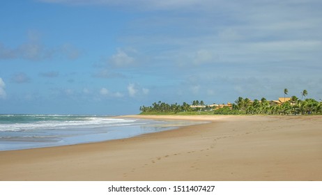 Brazilian Tropical Beach, At Bahia, With White Sand, Coconut Trees And Three Unrecognizable People Walking Away On The Distance