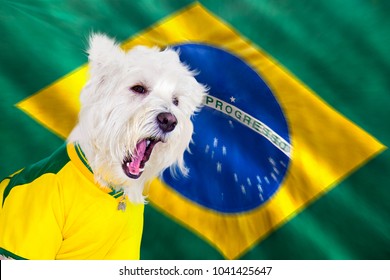 Brazilian west highland white terrier screaming with flag blurred zoom movement