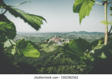 Goriška Brda On Summer Day