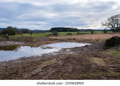 A Breached Flood Bank On A Wetland Restoration Project, With Water Flowing Through Naturally, With Silt Traps In Place, Threave Estate, Scotland