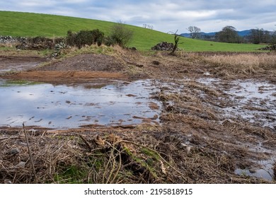 A Breached Flood Bank On A Wetland Restoration Project, With Water Flowing Through Naturally, With Silt Traps In Place, Threave Estate, Scotland