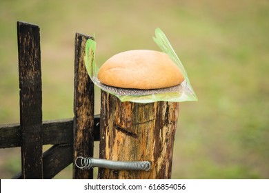 Bread