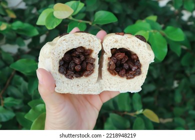 Bread Or Bun With Raisin Stuffed Or Raisin Bun, Raisin Bread