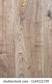 Bread Crumbs On A Wooden Floor