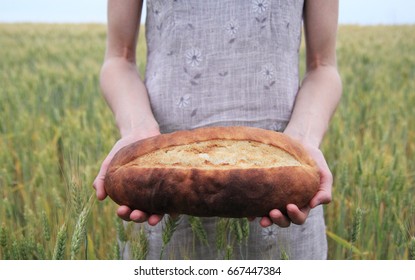 Bread in a field with spikelets