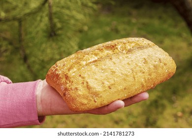 Bread In The Hand Of A Middle-aged Woman. The Concept Of The World Food Crisis Associated With The War In Ukraine.