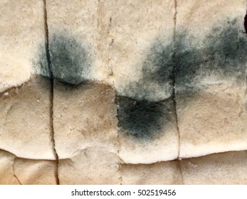 Bread With Mildew.Rotten Food.Mould On Sliced Of Bread.