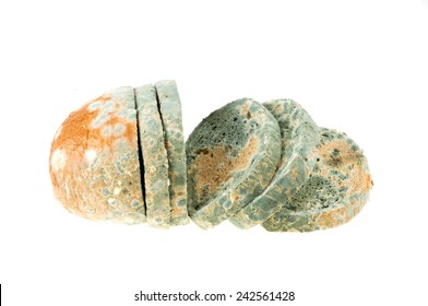 Bread Mold