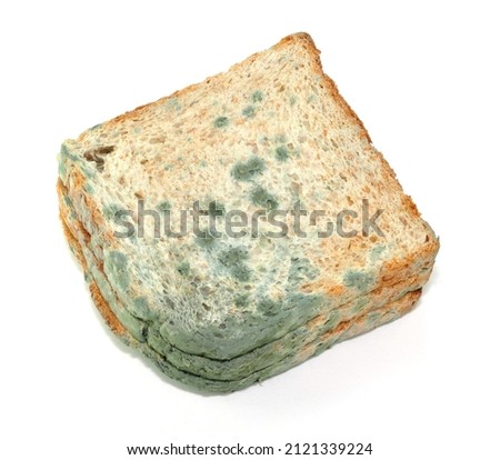 Bread with mold on white background, isolated.
