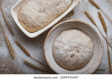 Bread proofing Whole grain dough in rattan baskets before baking Yeast-free sourdough bread - Powered by Shutterstock