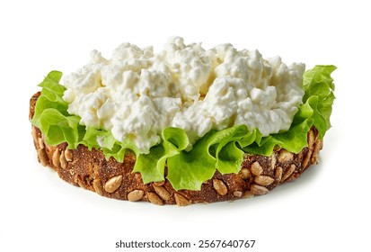 bread slice with cottage cheese and lettuce isolated on white background