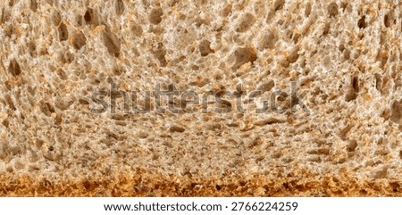 Bread slice macro texture, baked dough pattern. Brown bread loaf cut close up, gingerbread slice background, sponge bakery banner, brownie closeup with copy space