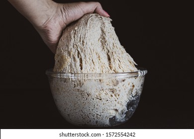 
Bread Sourdough. Batter. Fermentation Process. Leaven.