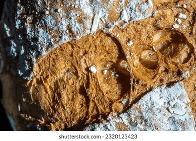 Bread texture close up. Fresh organic homemade sourdough bread loaf with marks from bread proofing basket and flour. Golden artisan bread crust. Top view, macro shot. - Powered by Shutterstock