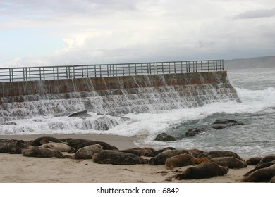 breaker wall near a beach with resting sea lions
