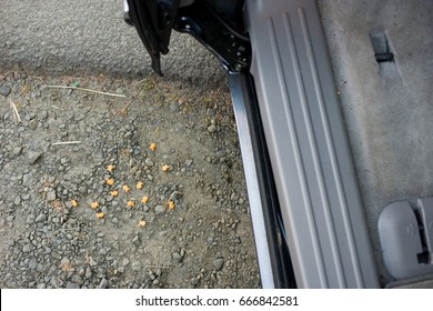 Breakfast Cereal On Floor By Car