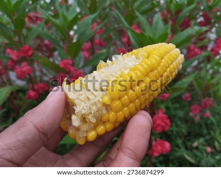 breakfast is enough with boiled corn