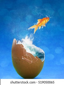 Breaking Free.  Fish bursting from broken egg shell filled with water and flying in the air